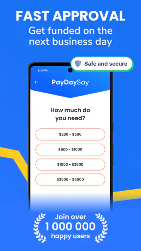 Cash Advance Now - PayDaySay screenshot