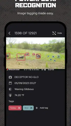 Command screenshot 4