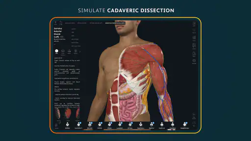 Complete Anatomy screenshot 10