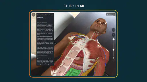 Complete Anatomy screenshot 12
