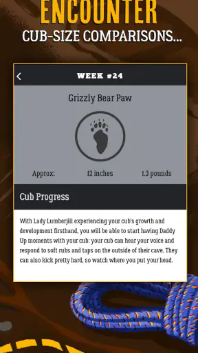 Dad Pregnancy Guide: Daddy Up screenshot