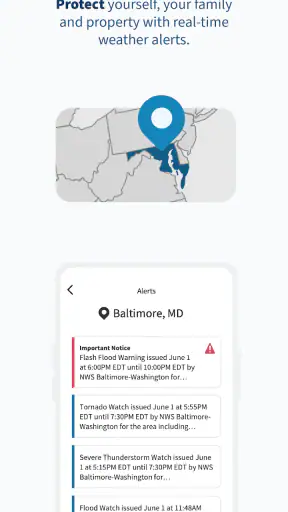 FEMA screenshot