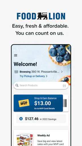 Food Lion screenshot