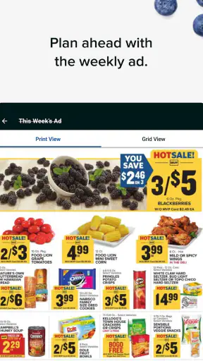 Food Lion screenshot