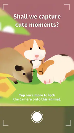 Forest Island: Relaxing Game screenshot