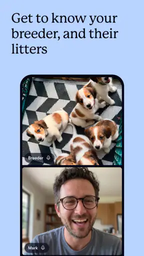 Good Dog: Find Your Puppy screenshot 11