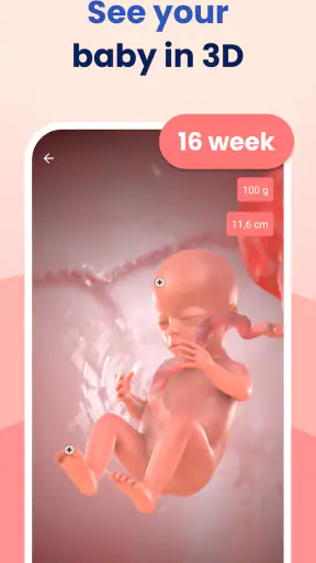 HiMommy: Pregnancy Tracker screenshot