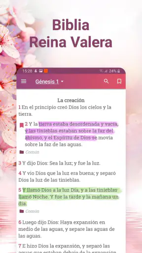 Holy Bible Reina Valera 1960 screenshot