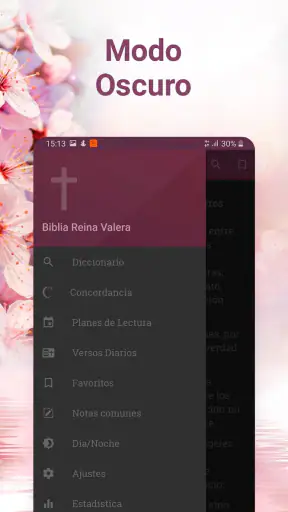 Holy Bible Reina Valera 1960 screenshot