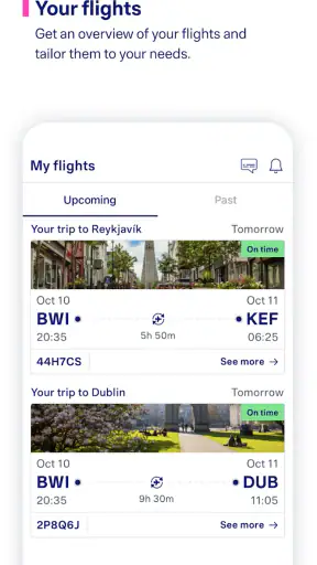 Icelandair screenshot 12