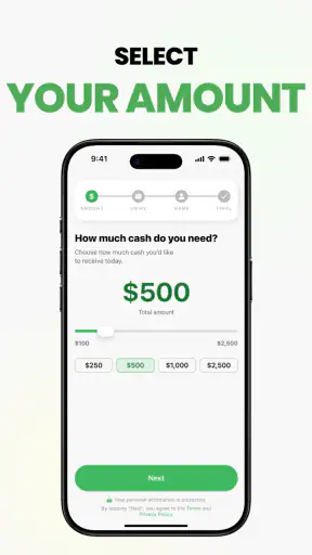 Instant Cash Advance Loan App screenshot