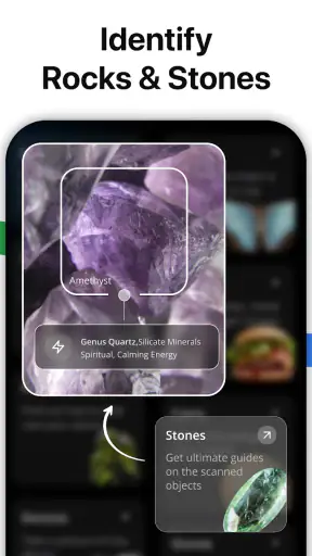 Lens AI: Identify Anything screenshot 12