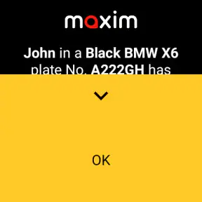 maxim — order a taxi & food screenshot 10