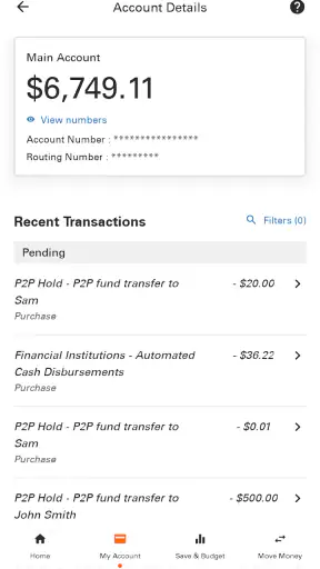 Money Network® Mobile App screenshot