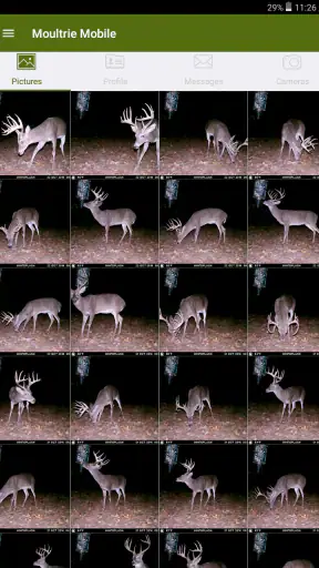 Moultrie screenshot 10