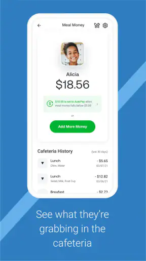 MSB Parent, USA screenshot