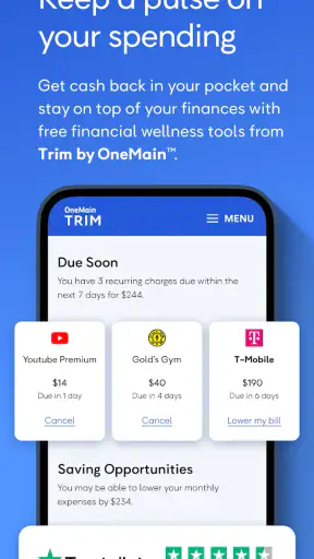 OneMain Financial screenshot