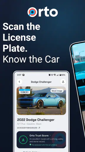 Orto: License Plate VIN Lookup screenshot
