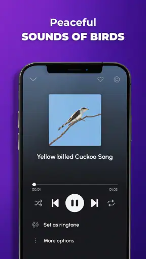 Phone Ringtones screenshot 7