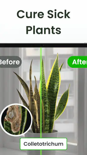 Plant Identifier: Plantiary screenshot 11