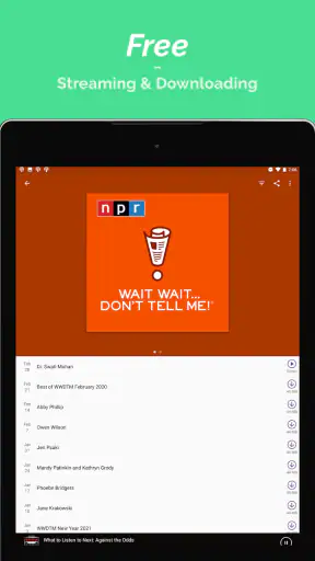 Podcast Player screenshot 11