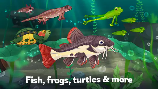 Pondlife — Fish, Frogs & More! screenshot 9