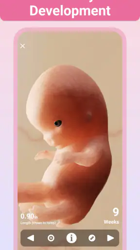 Pregnancy + | Tracker App screenshot 12