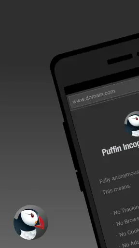 Puffin Incognito Browser screenshot