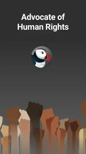 Puffin Incognito Browser screenshot