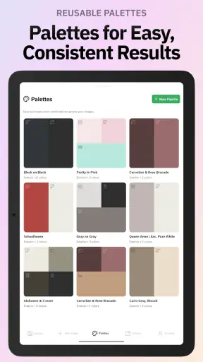 Repaint House Paint Visualizer screenshot 12