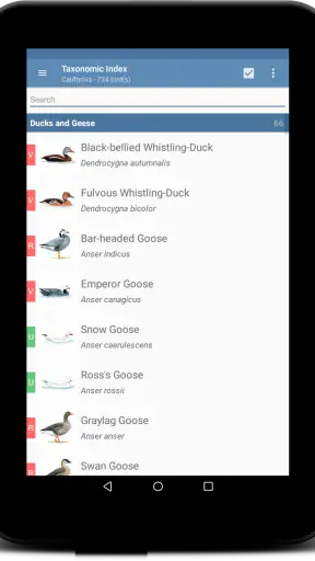 Sibley Birds 2nd Edition screenshot 10