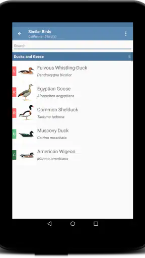 Sibley Birds 2nd Edition screenshot 12
