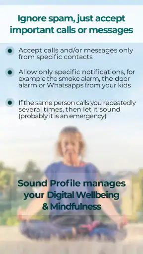 Sound Profile (Volume control) screenshot