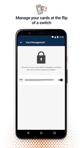 Transact eAccounts screenshot