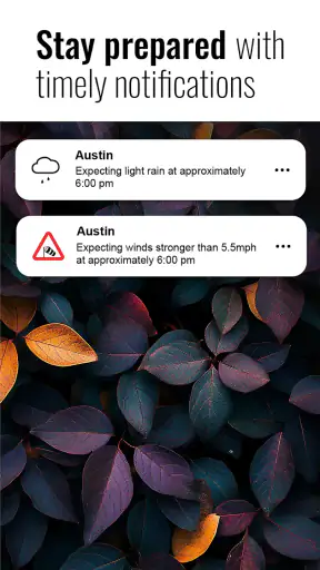 Transparent clock and weather screenshot 2