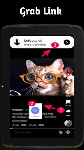 Video Downloader TSaver screenshot 9