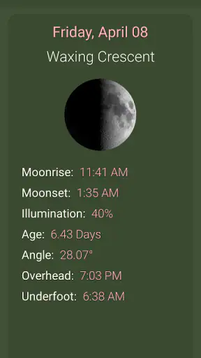 What The Forecast screenshot