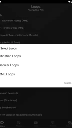 XME LOOPS screenshot 12