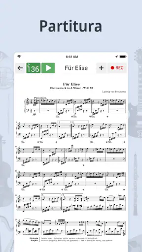 Afinador y Metrónomo screenshot 3