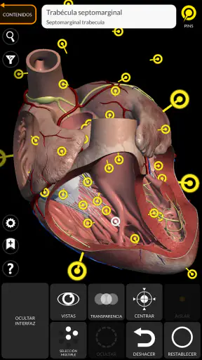 Anatomía - Atlas 3D screenshot 3