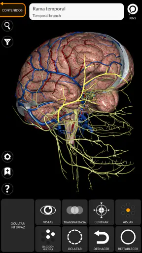 Anatomía - Atlas 3D screenshot 4