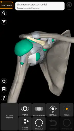 Anatomía - Atlas 3D screenshot 5