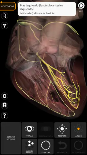 Anatomía - Atlas 3D screenshot 7
