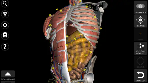 Anatomía - Atlas 3D screenshot 9