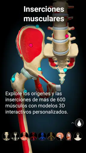 Anatomy Learning - Anatomía 3D screenshot 10