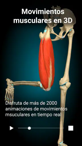 Anatomy Learning - Anatomía 3D screenshot 2