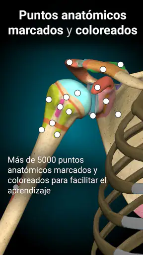 Anatomy Learning - Anatomía 3D screenshot 3