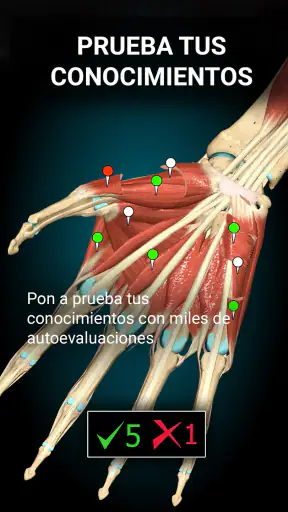 Anatomy Learning - Anatomía 3D screenshot 5