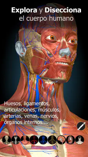 Anatomy Learning - Anatomía 3D screenshot 7