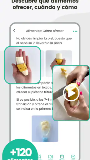 BLW Ideas - Recetas Bebés screenshot 3